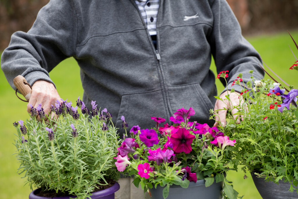 UK care home resident gardening